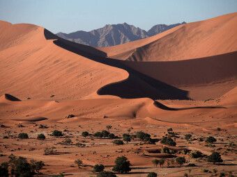 Produktbild: CALVENDO Puzzle D&uuml;nenlandschaft im Namib-Naukluft-Nationalpark | 1000 Teile Lege-Gr&ouml;&szlig;e 64x48cm Foto-Puzzle f&uuml;r gl&uuml;ckliche Stunden