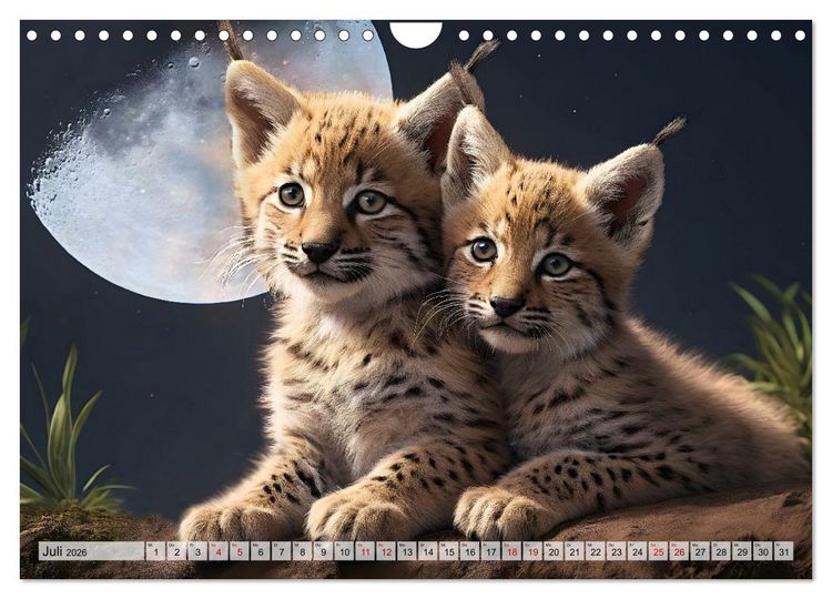 Produktbild: Auf den Spuren der Luchse (Wandkalender 2026 DIN A4 quer), CALVENDO Monatskalender
