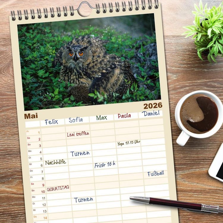 Produktbild: Familienplaner 2026 - Heimische Eulen und Greife mit 5 Spalten (Wandkalender, 21 x 45 cm) CALVENDO