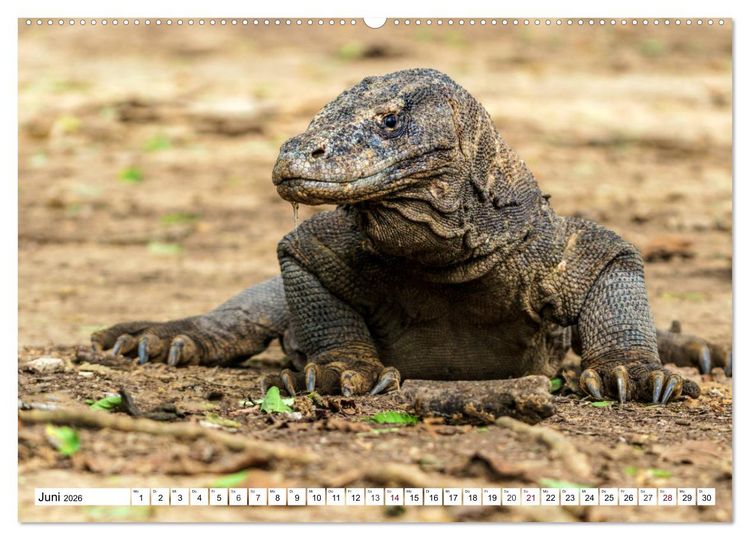 Produktbild: Indonesien - Inselparadies Flores & Komodo (hochwertiger Premium Wandkalender 2026 DIN A2 quer), Kunstdruck in Hochglanz