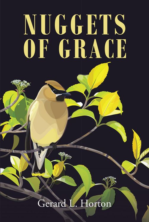 Produktbild: Nuggets of Grace
