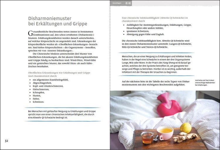 Produktbild: Grippe und Infekte (Yang Sheng 4)