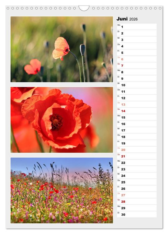 Produktbild: Zauberhafte Farben der Natur (Wandkalender 2026 DIN A3 hoch), CALVENDO Monatskalender