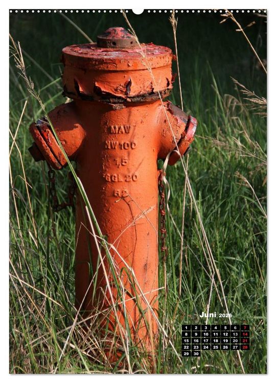 Produktbild: Nostalgie Hydranten (hochwertiger Premium Wandkalender 2026 DIN A2 hoch), Kunstdruck in Hochglanz