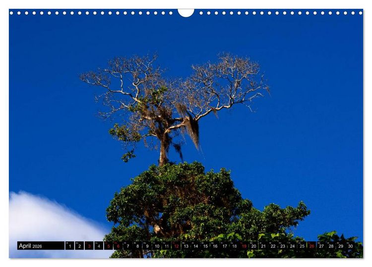 Produktbild: Faszination Venezuela (Wandkalender 2026 DIN A3 quer), CALVENDO Monatskalender
