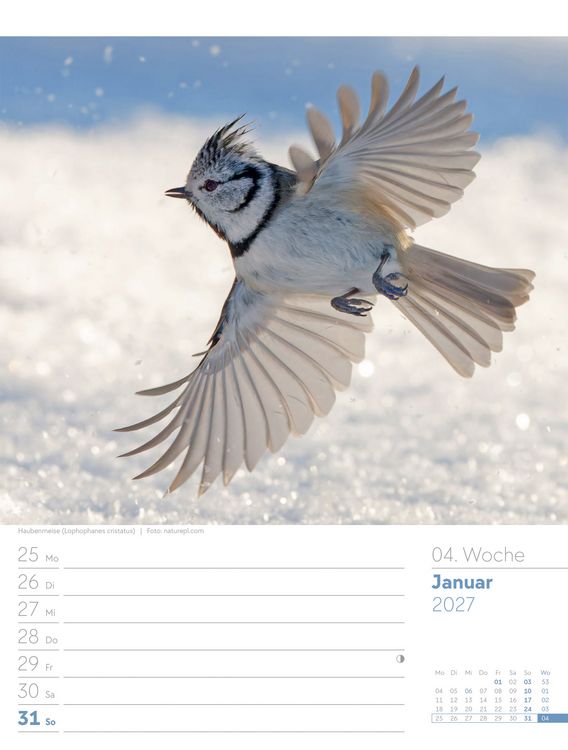 Produktbild: V&ouml;gel Wochenplaner Kalender 2027