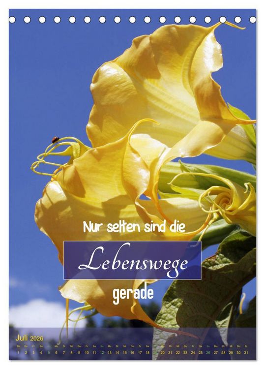 Produktbild: Lebensfreude in harten Zeiten (Tischkalender 2026 DIN A5 hoch), CALVENDO Monatskalender