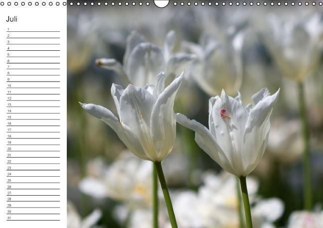 Produktbild: Ich denk an Dich ... Pers&ouml;nlicher Terminkalender (Wandkalender immerw&auml;hrend DIN A3 quer)