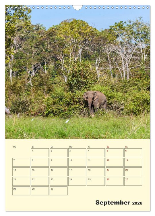 Produktbild: ELEFANTEN - Asiens graue Riesen (Wandkalender 2026 DIN A3 hoch), CALVENDO Monatskalender