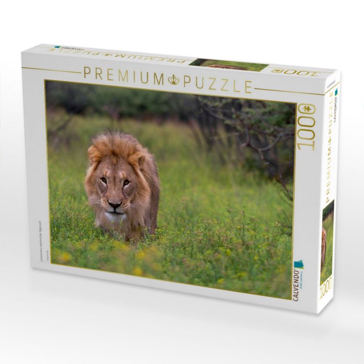 Produktbild: CALVENDO Puzzle L&ouml;wenmann w&auml;hrend der Regenzeit | 1000 Teile Lege-Gr&ouml;&szlig;e 64x48cm Foto-Puzzle f&uuml;r gl&uuml;ckliche Stunden