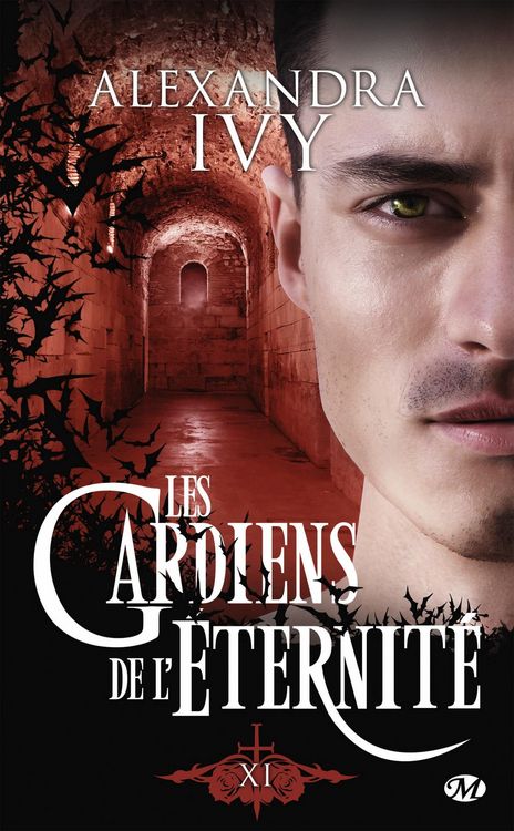 Produktbild: Les Gardiens de l'&eacute;ternit&eacute;, T17 : Xi