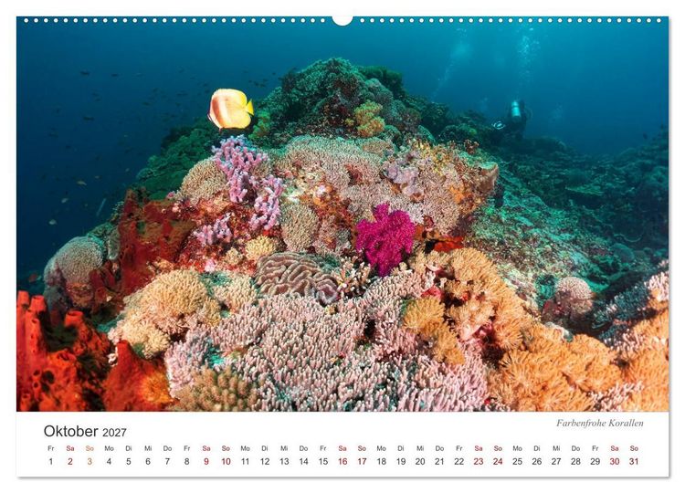 Produktbild: Unterwasser - eine bunte Welt (hochwertiger Premium Wandkalender 2027 DIN A2 quer), Kunstdruck in Hochglanz