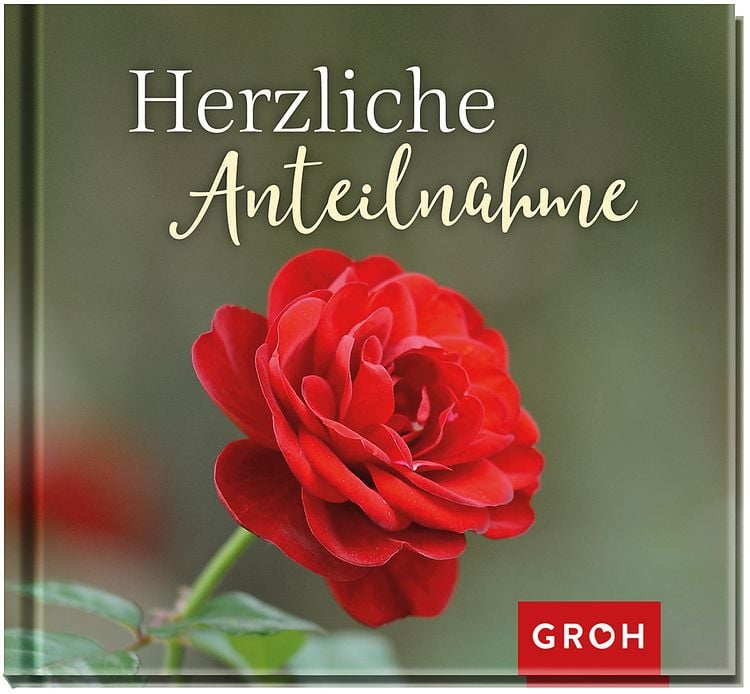 Bild vom Artikel Herzliche Anteilnahme vom Autor Groh Verlag