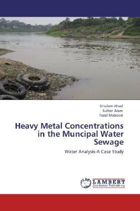Produktbild: Ahad, G: Heavy Metal Concentrations in the Muncipal Water Se