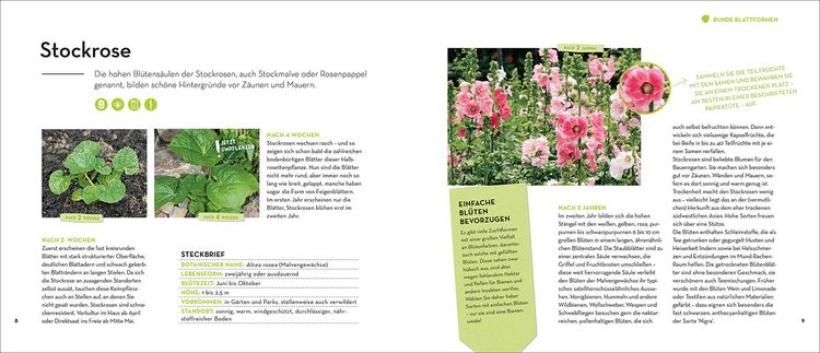 Produktbild: Wird das was oder kann das weg?