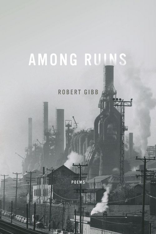 Produktbild: Among Ruins