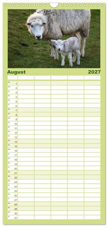Produktbild: Familienplaner 2027 - Deichschafe - H&uuml;ter der Deiche in Nordfriesland mit 5 Spalten (Wandkalender, 21 x 45 cm) CALVENDO