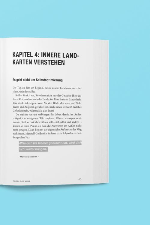 Produktbild: F&uuml;hren ohne Maske