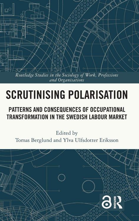 Produktbild: Scrutinising Polarisation