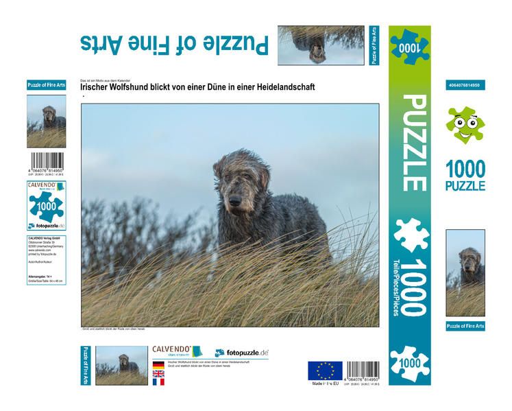 Produktbild: CALVENDO Puzzle Irischer Wolfshund blickt von einer D&uuml;ne in einer Heidelandschaft | 1000 Teile Lege-Gr&ouml;&szlig;e 64x48cm Foto-Puzzle f&uuml;r gl&uuml;ckliche Stunden
