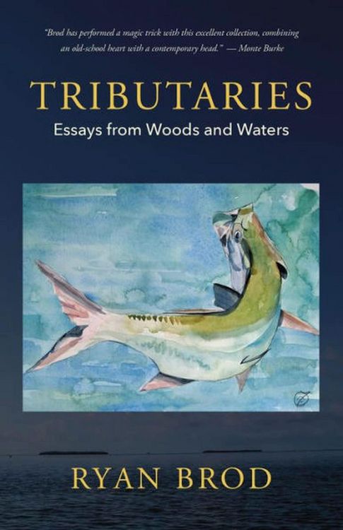 Produktbild: Tributaries