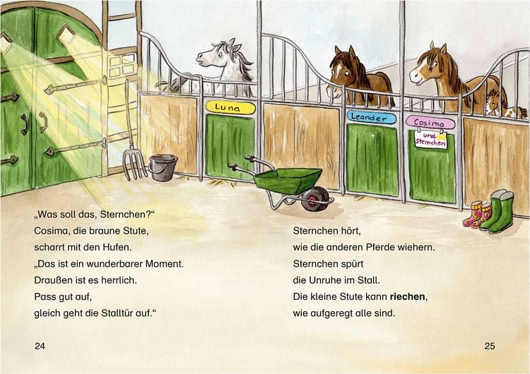 Produktbild: Lesel&ouml;wen 2. Klasse - Fohlengeschichten