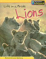 Produktbild: Animal Groups: Life in a Pride - Lions