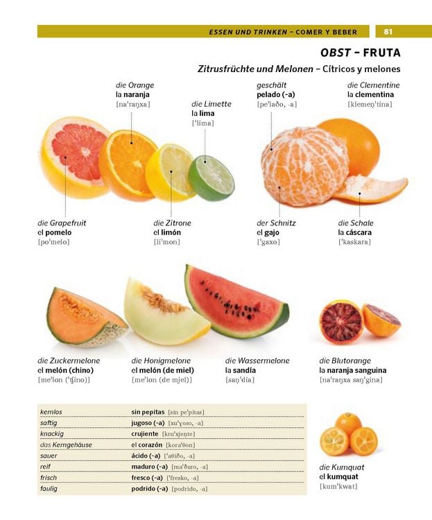 Produktbild: PONS Bildw&ouml;rterbuch Spanisch
