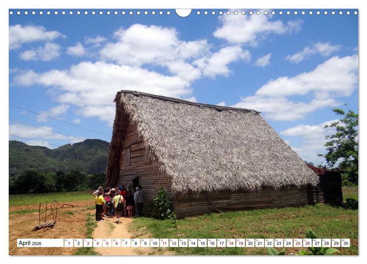 Produktbild: Echte Havannas - Zigarren "Made in Cuba" (Wandkalender 2026 DIN A3 quer), CALVENDO Monatskalender