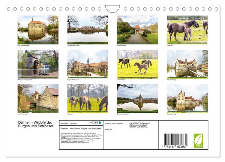 Produktbild: D&uuml;lmen - Wildpferde, Burgen und Schl&ouml;sser (Wandkalender 2026 DIN A4 quer), CALVENDO Monatskalender