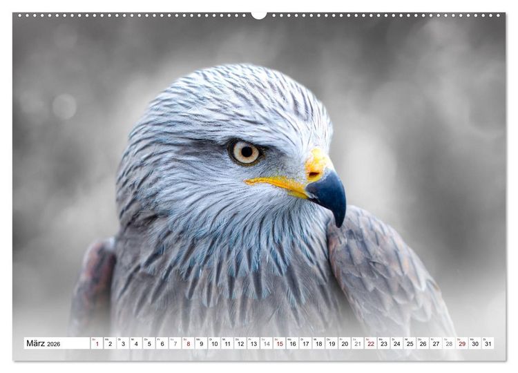 Produktbild: Erfolgreiche J&auml;ger (Wandkalender 2026 DIN A2 quer), CALVENDO Monatskalender