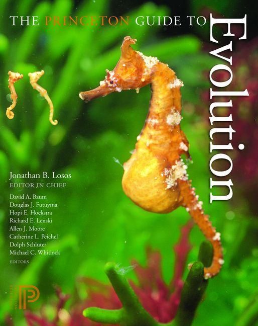 Produktbild: Princeton Guide to Evolution