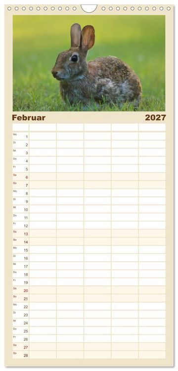 Produktbild: Familienplaner 2027 - Hasen - Die niedlichen Hoppeltiere. mit 5 Spalten (Wandkalender, 21 x 45 cm) CALVENDO