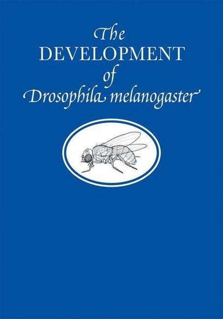 Produktbild: The Development of Drosophila Melanogaster