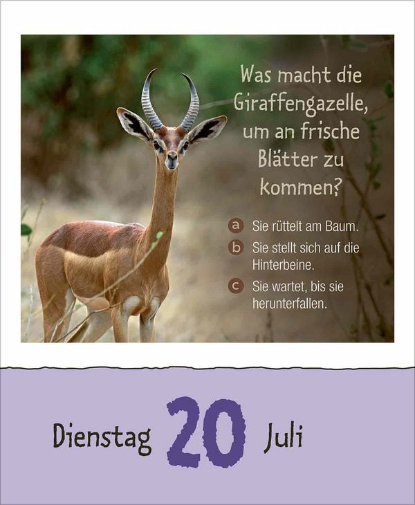Produktbild: Wie faul ist das Faultier? 2027