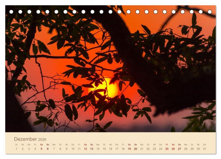 Produktbild: Einmalige Landschaften in Afrika (Tischkalender 2026 DIN A5 quer), CALVENDO Monatskalender