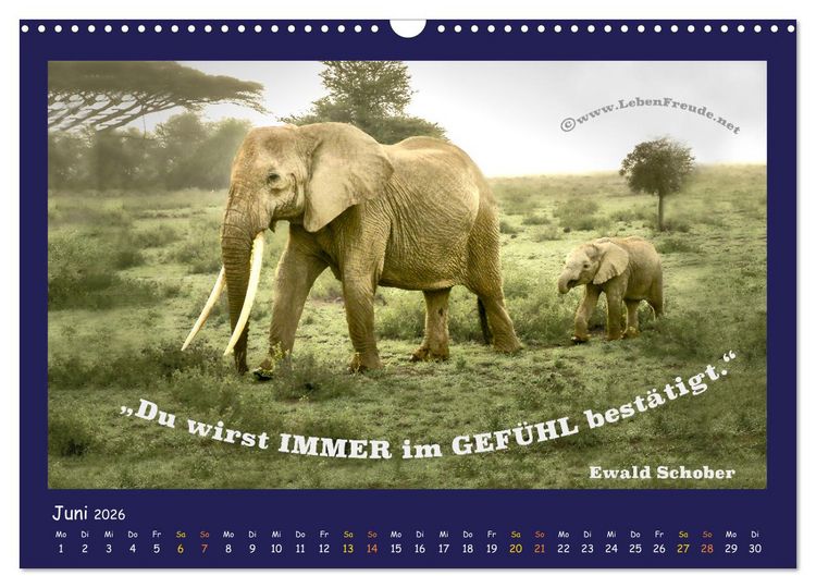 Produktbild: Bewusst leben und gl&uuml;cklich sein (Wandkalender 2026 DIN A3 quer), CALVENDO Monatskalender