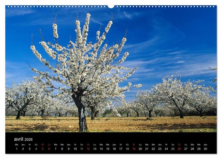 Produktbild: Paysages de Provence (Calendrier mural 2026 DIN A2 vertical) calendrier de bureau
