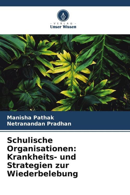Produktbild: Schulische Organisationen: Krankheits- und Strategien zur Wiederbelebung