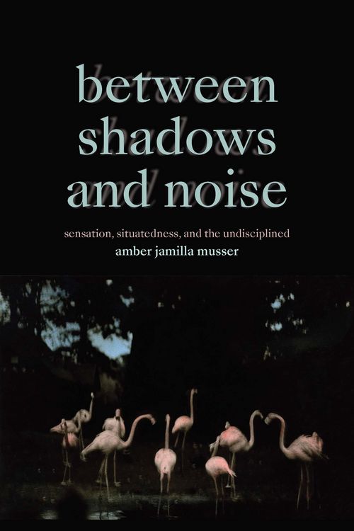 Produktbild: Between Shadows and Noise