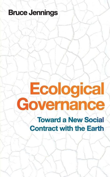 Produktbild: Ecological Governance