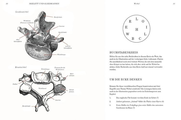 Produktbild: GRAY&rsquo;S ANATOMIE R&Auml;TSELBUCH