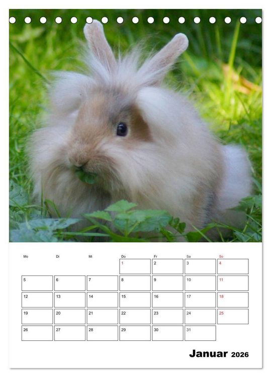 Produktbild: Kaninchen Terminplaner (Tischkalender 2026 DIN A5 hoch), CALVENDO Monatskalender