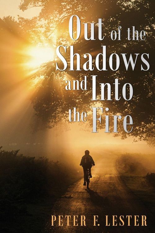 Produktbild: Out of the Shadows and into the Fire