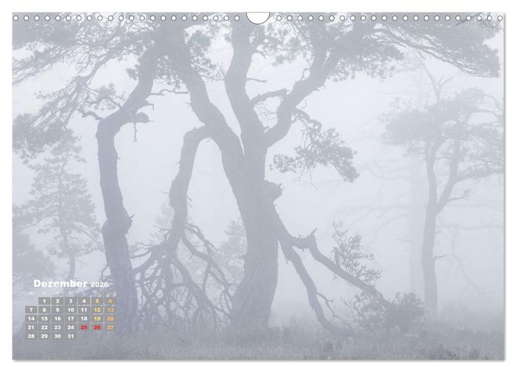 Produktbild: Naturschauspiele in Schottland (Wandkalender 2026 DIN A3 quer), CALVENDO Monatskalender