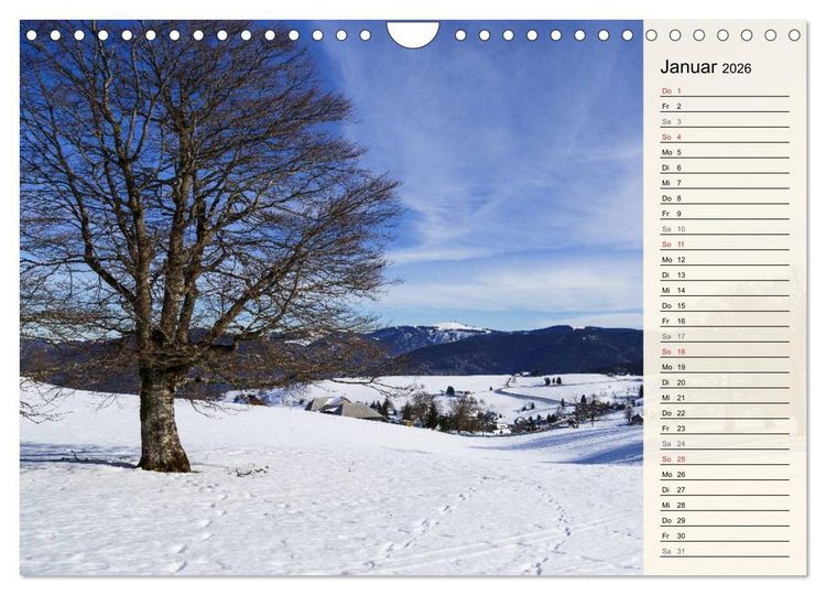 Produktbild: Auf Schusters Rappen... S&uuml;dlicher Oberrhein und S&uuml;dschwarzwald (Wandkalender 2026 DIN A4 quer), CALVENDO Monatskalender