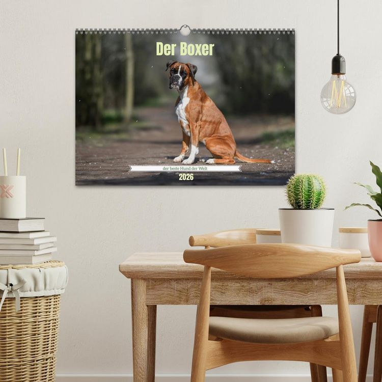 Produktbild: Der Boxer, der beste Hund der Welt (Wandkalender 2026 DIN A3 quer), CALVENDO Monatskalender