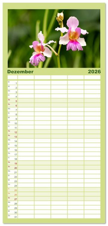 Produktbild: Familienplaner 2026 - Orchidaceae - Orchideen mit 5 Spalten (Wandkalender, 21 x 45 cm) CALVENDO