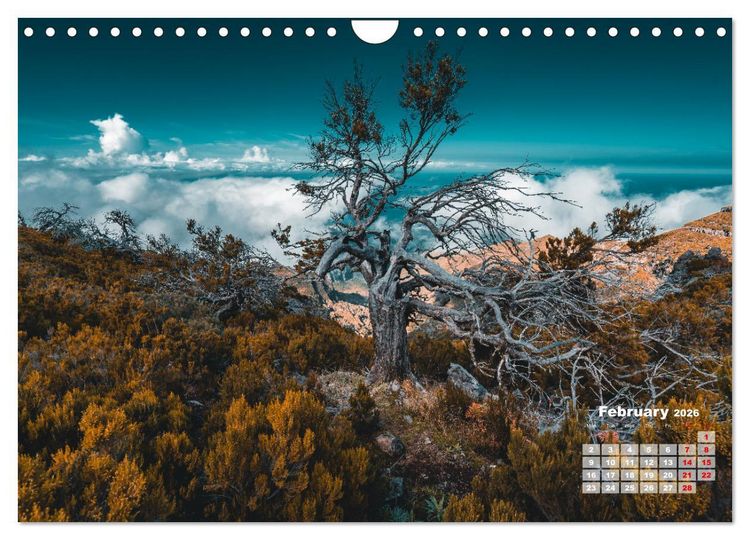 Produktbild: Madeira Island - Portugal (Wall Calendar 2026 DIN A4 landscape), CALVENDO 12 Month Wall Calendar