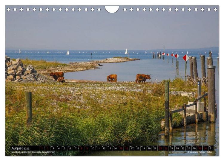 Produktbild: Das Rheintal 2026 (Wandkalender 2026 DIN A4 quer), CALVENDO Monatskalender